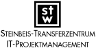 Steinbeis-Transferzentrum IT-Projektmanagement